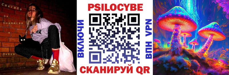 Псилоцибиновые грибы Cubensis Орск